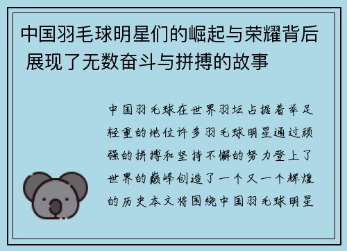 中国羽毛球明星们的崛起与荣耀背后 展现了无数奋斗与拼搏的故事