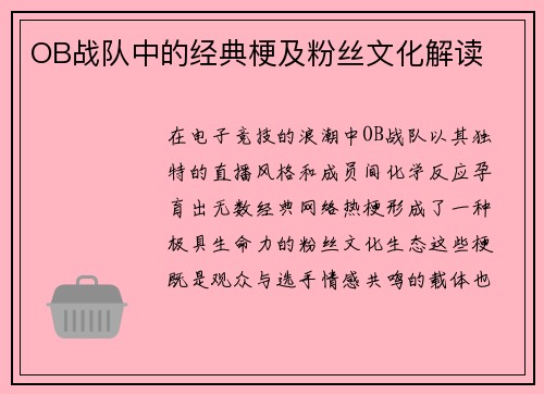 OB战队中的经典梗及粉丝文化解读